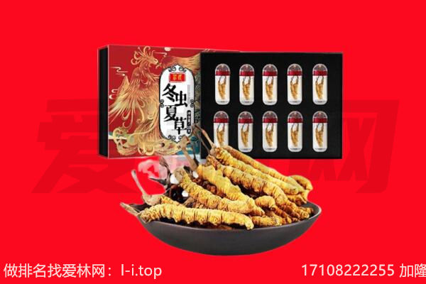 唐山曹妃甸区回收虫草.jpg